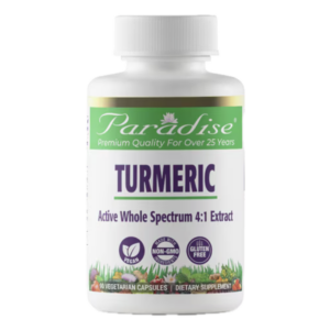 Paradise Herbs Turmeric -- 90 Vegetarian Capsules