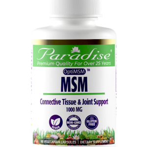 Paradise Herbs MSM -- 90 Vegetarian Capsules